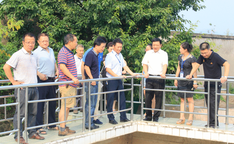 宜賓市市長杜紫平到清源水務集團考察調(diào)研