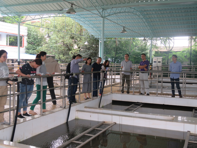 總經(jīng)理陳筱秋率集團(tuán)公司安委會成員開展節(jié)前安全大檢查