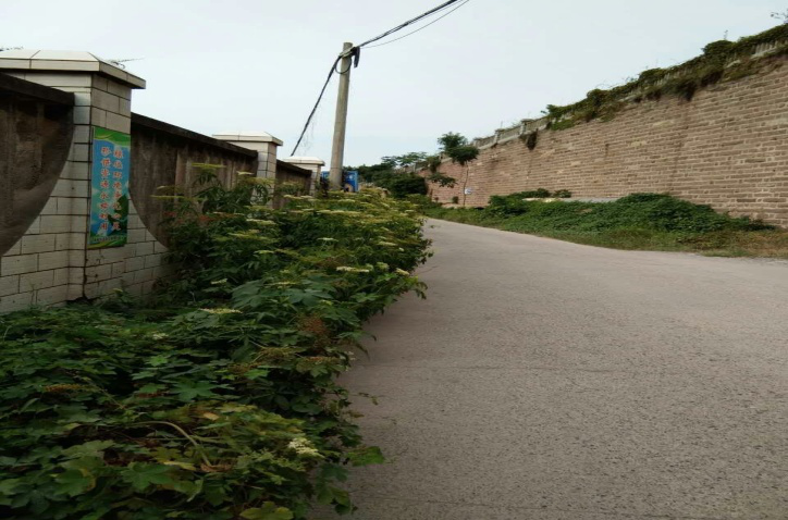 除草刷墻灑汗水，苗圃外貌換新顏