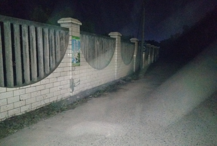 除草刷墻灑汗水，苗圃外貌換新顏