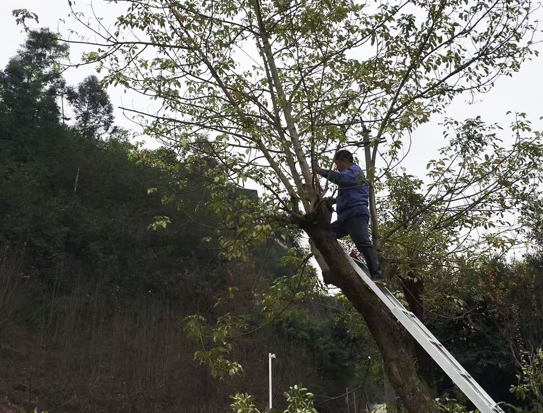 狠抓安全生產  創(chuàng)造良好環(huán)境
